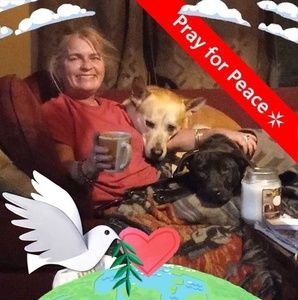 Meet your Posher, Lori p